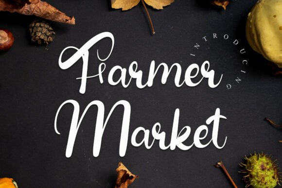 Farmer Market: A Cozy Autumn Script Font for Artisan Brands