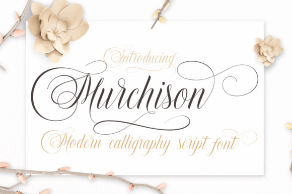 Murchison Font: Unlocking Creative Design Potential